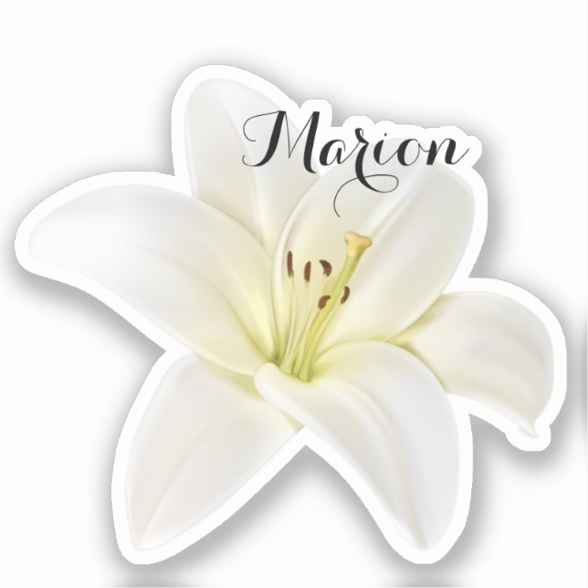 Autocollant blanc personnalisé (Recto)