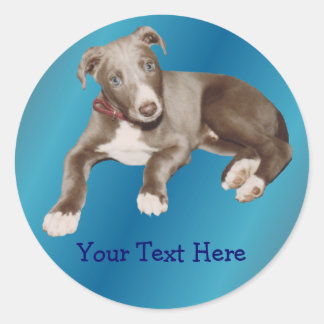 Autocollant bleu Greyhound Chiot Animal