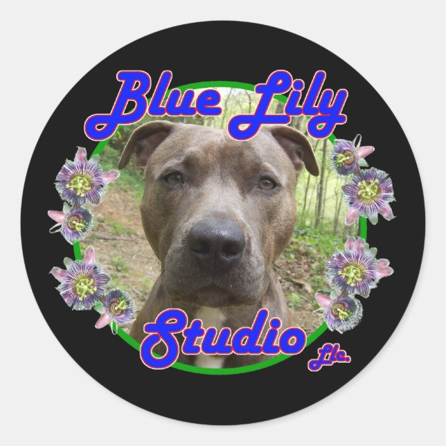 Autocollant Blue Lily Studio (Devant)
