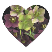 Autocollant botanique en forme de cœur Fleurs d'he