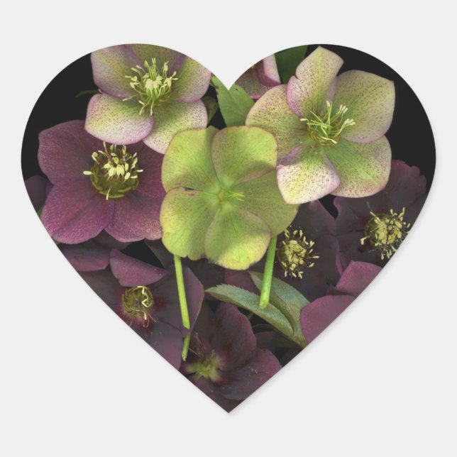 Autocollant botanique en forme de cœur Fleurs d'he (Devant)