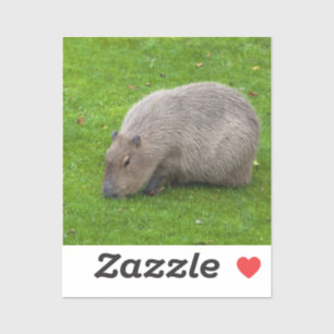 Autocollant Capybara