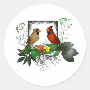 Autocollant Cardinals Corner