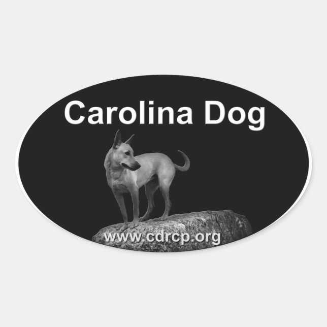Autocollant Carolina Dog (Devant)