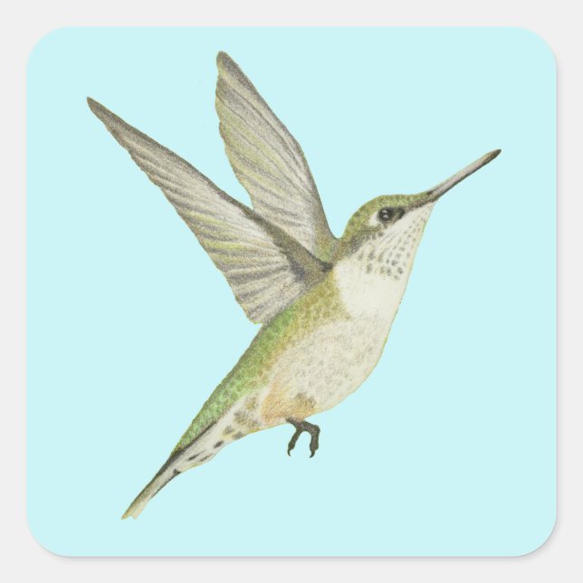 Autocollant Carré de colibri (Devant)
