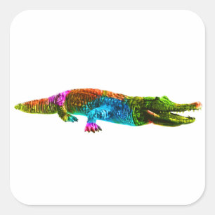 Autocollant carré de crocodile coloré