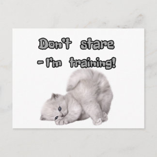 Autocollant / Carte Postale de Chat Drôle