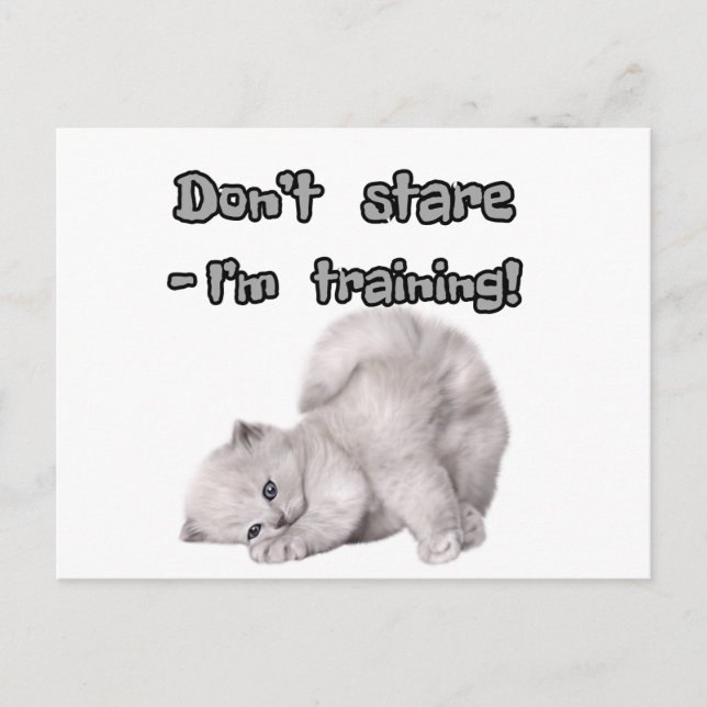 Autocollant / Carte Postale de Chat Drôle (Devant)