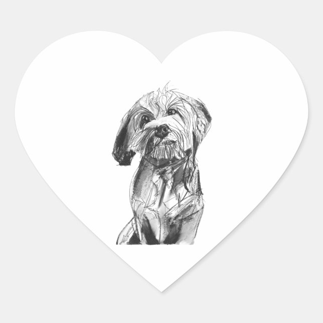 Autocollant Cavapoo, Illustration pour amateur de  (Devant)