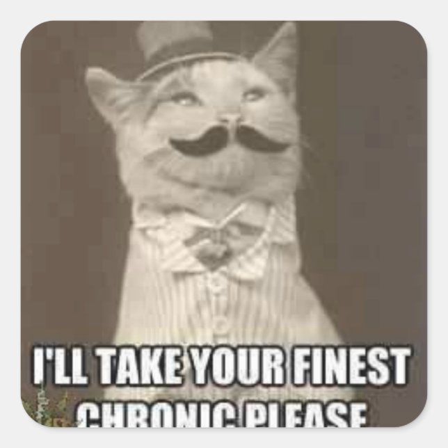 autocollant chaton fantaisie (Devant)