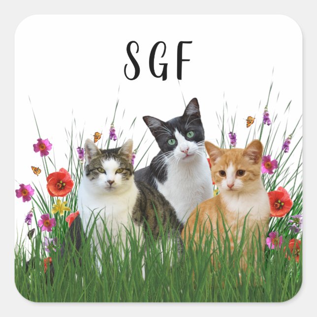 Autocollant Chats Mignons Monogramme (Devant)
