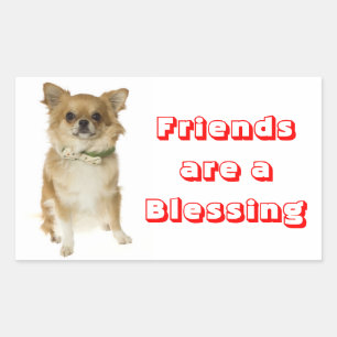 Autocollant Chien Chihuahua Poil Long