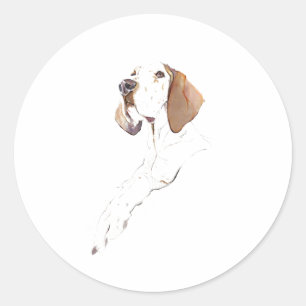 Autocollant Chien Pointer Anglais