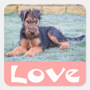 Autocollant Chien Rose Airedale Terrier chiot