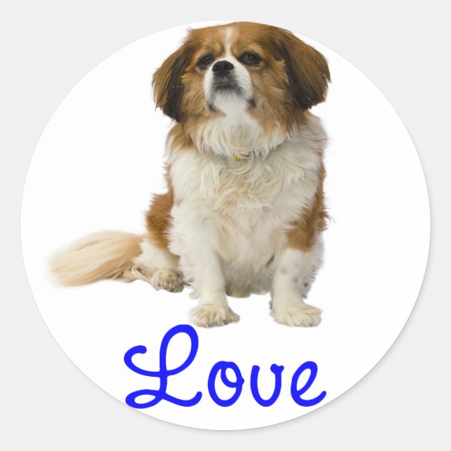 Autocollant Chiot Cavalier King Charles Spaniel (Devant)
