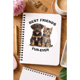 Autocollant Chiot & Chaton Mignon