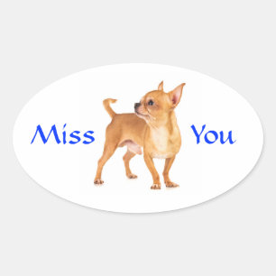 Autocollant chiot chihuahua Tu me manques
