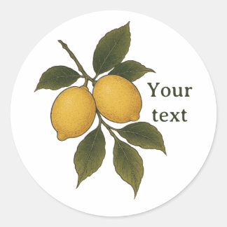 Autocollant Citron Vintage, Autocollant Citrus Méd