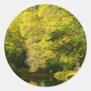 Autocollant Classique Rond Vieux Ifs