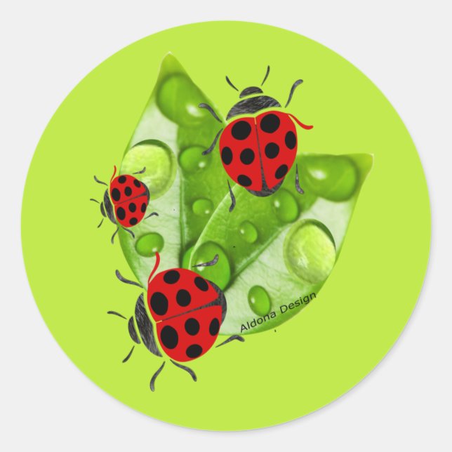 Autocollant coccinelle (Devant)