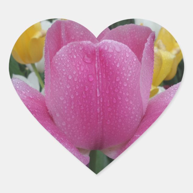 Autocollant Coeur rose Tulipe (Devant)