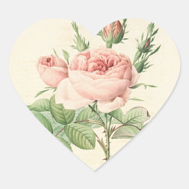 Autocollant Cœur Rose Vintage (Devant)