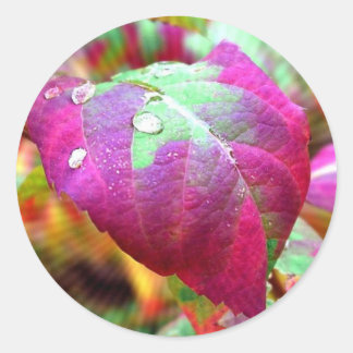 Autocollant couleur automne