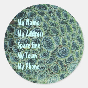 Autocollant d'adresse avec des fleurs de cactus