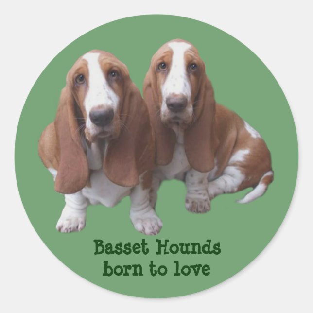 Autocollant d'amis de Basset Hound (Devant)
