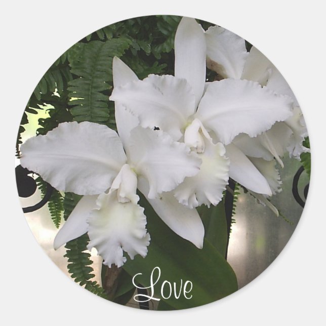 Autocollant d'amour des orchidées (Devant)