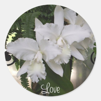 Autocollant d'amour des orchidées
