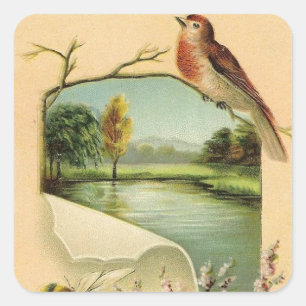 Autocollant d'animal amusant d'oiseau vintage