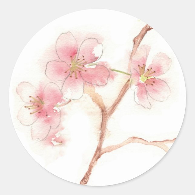 Autocollant d'aquarelle Cherry Blossom (Devant)