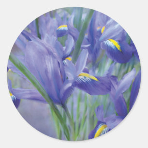 Autocollant d'art de bouquet d'iris