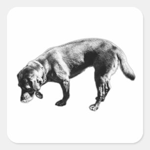 Autocollant d'art d'encre de renflouage Labrador R
