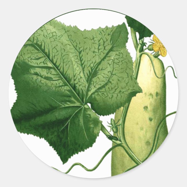 Autocollant d'art en combre 1 (Devant)