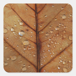 Autocollant d'automne