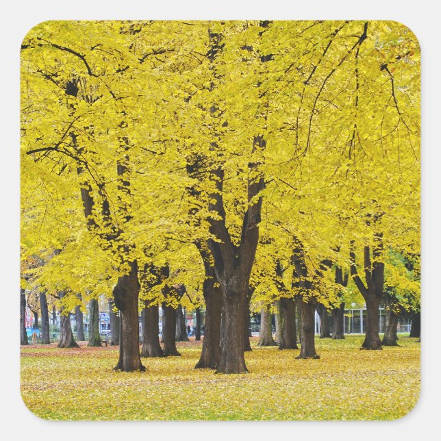 Autocollant d'automne (Devant)