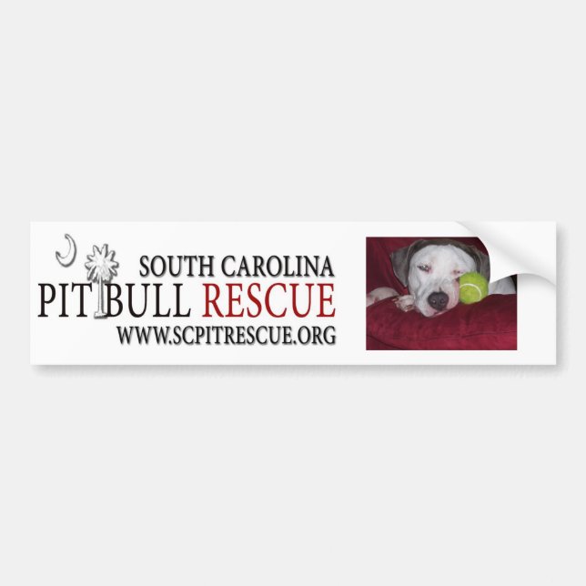 Autocollant de Bumpre (Devant)