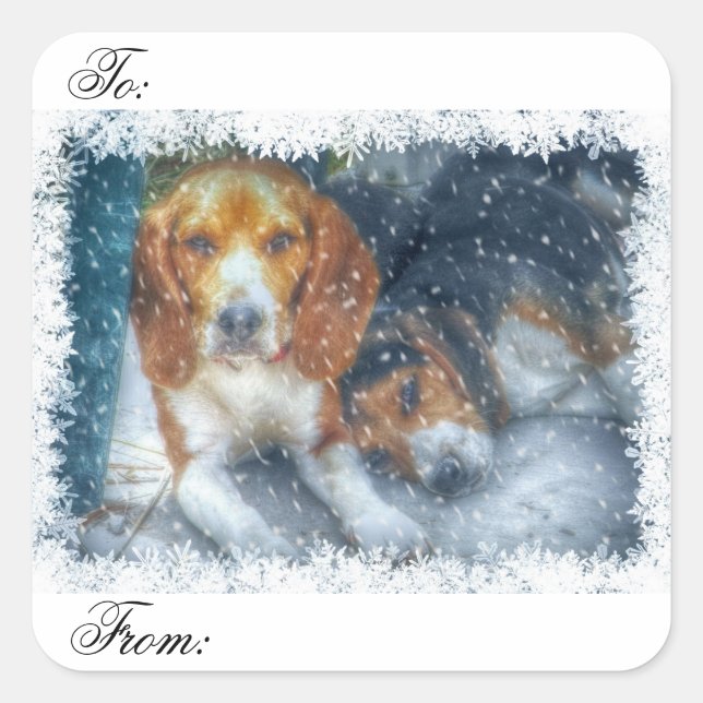 Autocollant de cadeau pour chien de Noël (Devant)