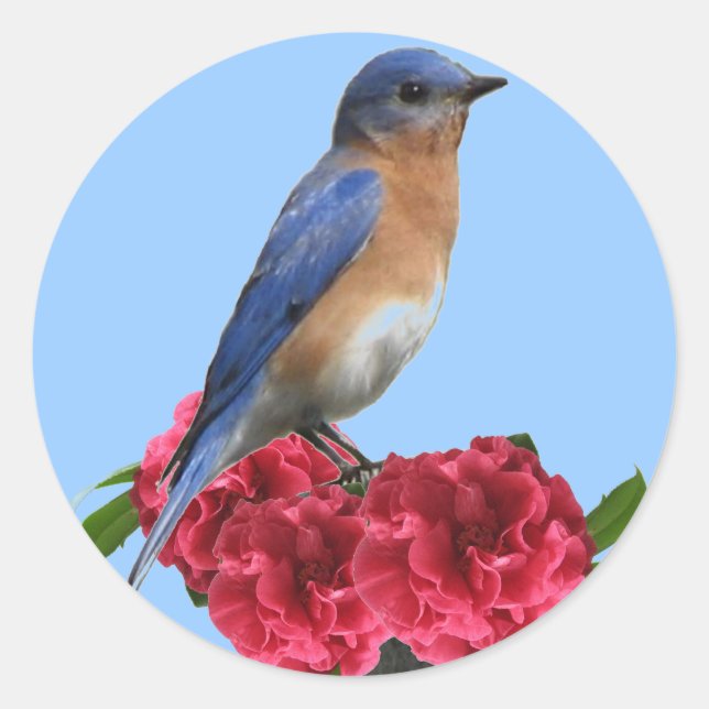 Autocollant de Camellia de bleuet oriental (Devant)