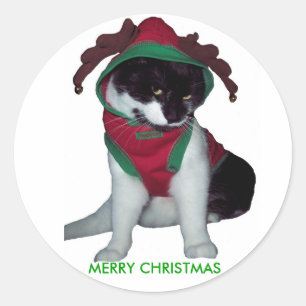 AUTOCOLLANT DE CAT DE JOYEUX NOËL