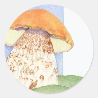 Autocollant de champignon