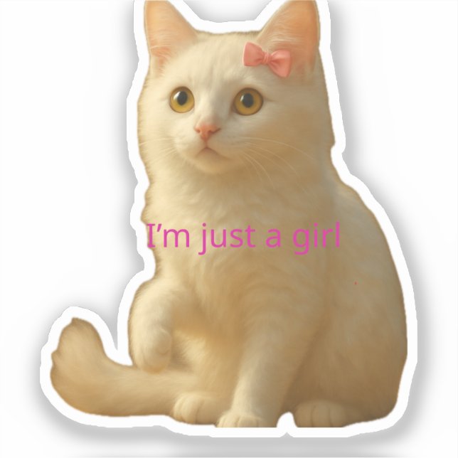 Autocollant de chat esthétique mignon pour ordinat (Recto)
