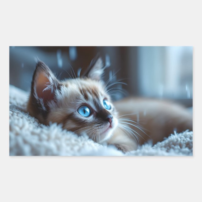 Autocollant de chaton mignon  (Devant)