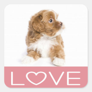 Autocollant de chien chiot Havanese Love