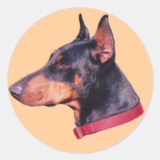 Autocollant de chien de chien de marque Doberman n