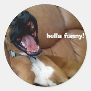 autocollant de chien hella drôle !