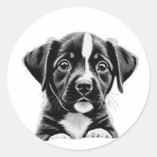 Autocollant de chien mignon noir et blanc – Chien 