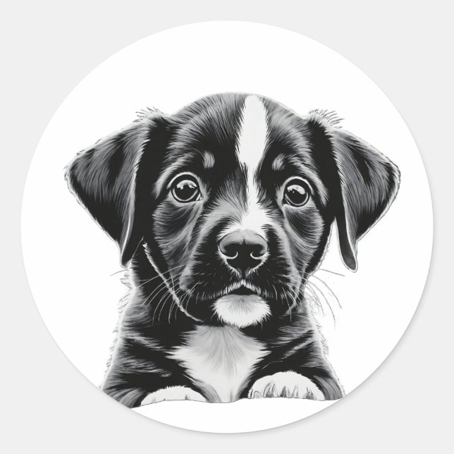 Autocollant de chien mignon noir et blanc – Chien  (Devant)